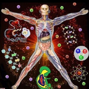 SUPE 212 Science for Life