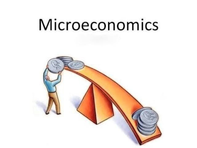 ECNE 201 Microeconomic Theory – FINAL SEMINAR