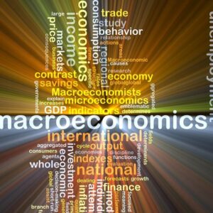 ECNE 202 Macroeconomic Theory - FINAL SEMINAR