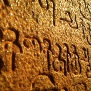 TLGE 302 History of Tamil Language and Grammatical Tradition (2018)